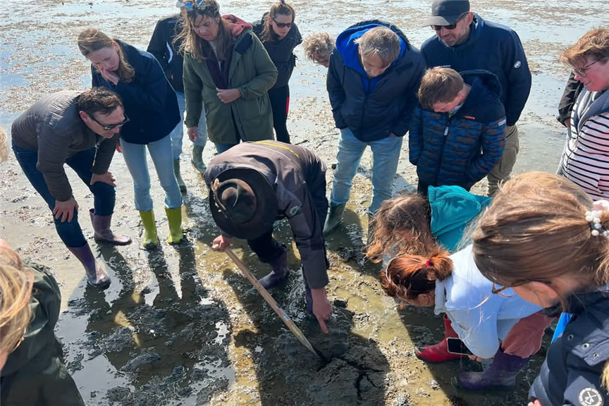 Wad excursie