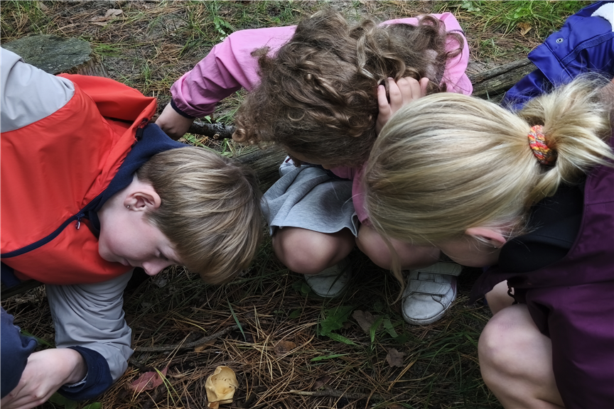 Paddenstoelenexcursie met Sjoukje 'de Lepelaar'