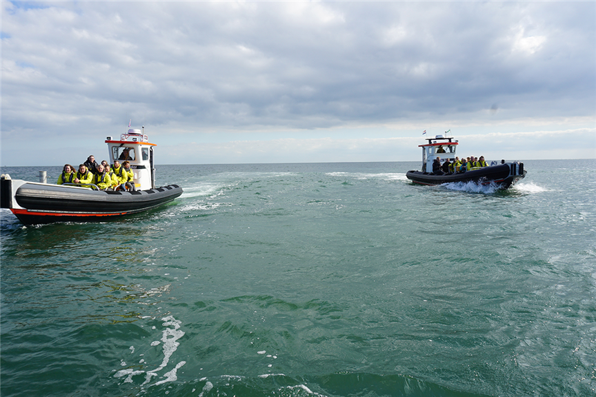 Robbentocht